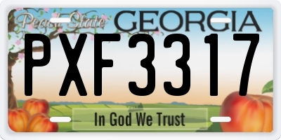 GA license plate PXF3317