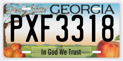 GA license plate PXF3318