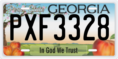 GA license plate PXF3328
