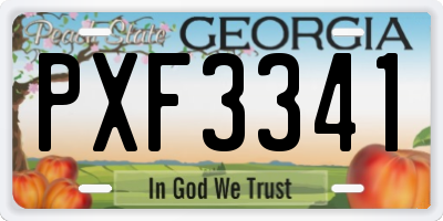 GA license plate PXF3341