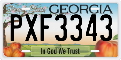 GA license plate PXF3343