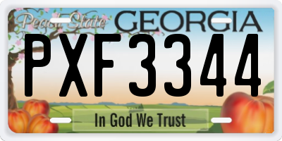 GA license plate PXF3344