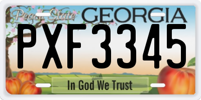 GA license plate PXF3345