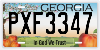 GA license plate PXF3347