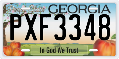 GA license plate PXF3348