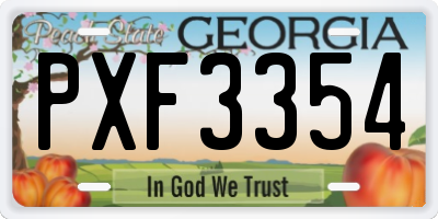 GA license plate PXF3354