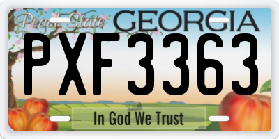 GA license plate PXF3363