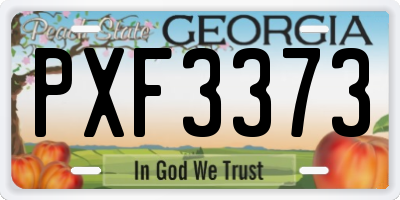 GA license plate PXF3373