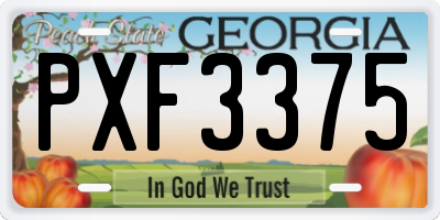 GA license plate PXF3375