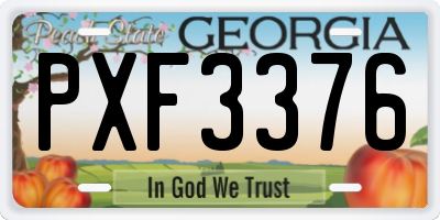 GA license plate PXF3376