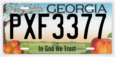 GA license plate PXF3377