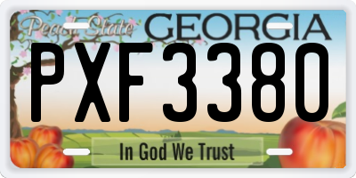 GA license plate PXF3380