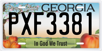 GA license plate PXF3381