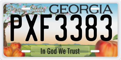 GA license plate PXF3383