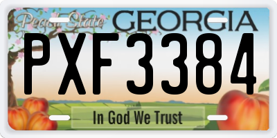 GA license plate PXF3384