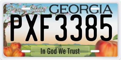 GA license plate PXF3385