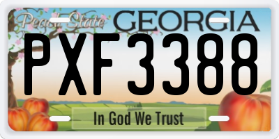 GA license plate PXF3388