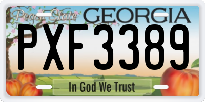 GA license plate PXF3389