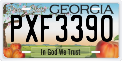 GA license plate PXF3390