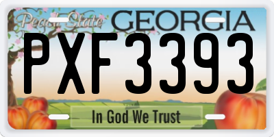 GA license plate PXF3393