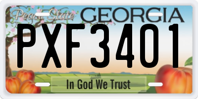 GA license plate PXF3401