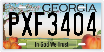 GA license plate PXF3404