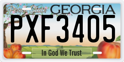GA license plate PXF3405