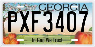 GA license plate PXF3407