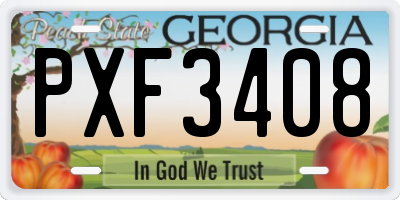 GA license plate PXF3408