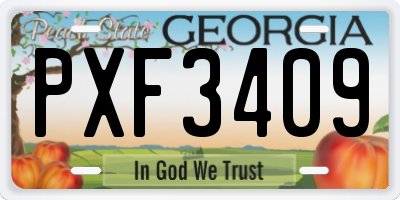 GA license plate PXF3409