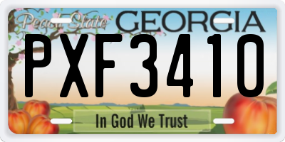 GA license plate PXF3410
