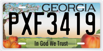 GA license plate PXF3419