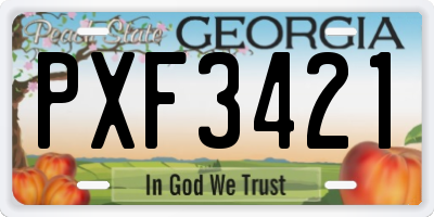 GA license plate PXF3421