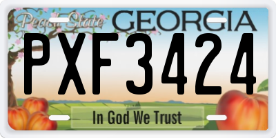 GA license plate PXF3424