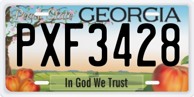 GA license plate PXF3428