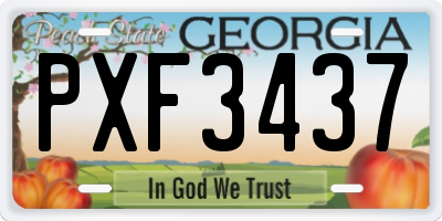 GA license plate PXF3437