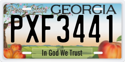GA license plate PXF3441