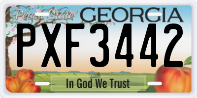 GA license plate PXF3442