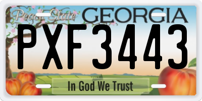 GA license plate PXF3443