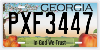 GA license plate PXF3447