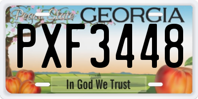 GA license plate PXF3448