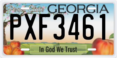 GA license plate PXF3461