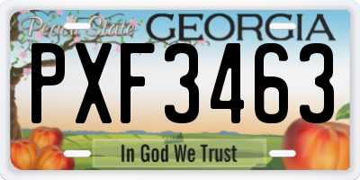 GA license plate PXF3463