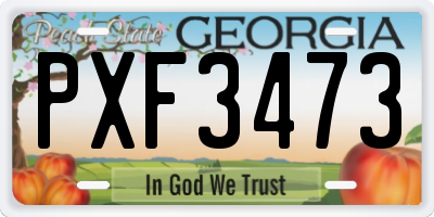 GA license plate PXF3473