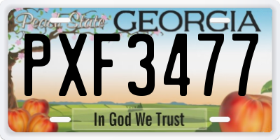 GA license plate PXF3477
