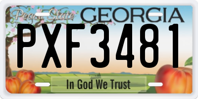 GA license plate PXF3481