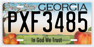 GA license plate PXF3485