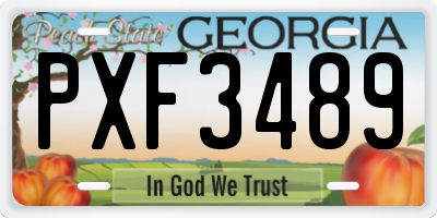 GA license plate PXF3489