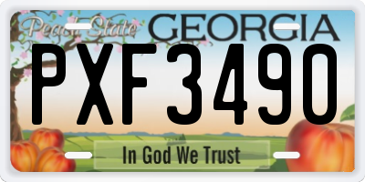 GA license plate PXF3490