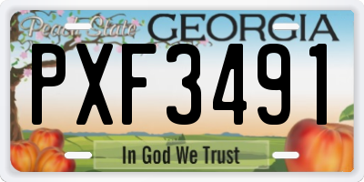 GA license plate PXF3491